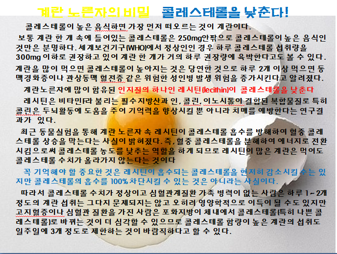 계란 노른자의 비밀' 콜레스테롤을 낮춘다.PNG