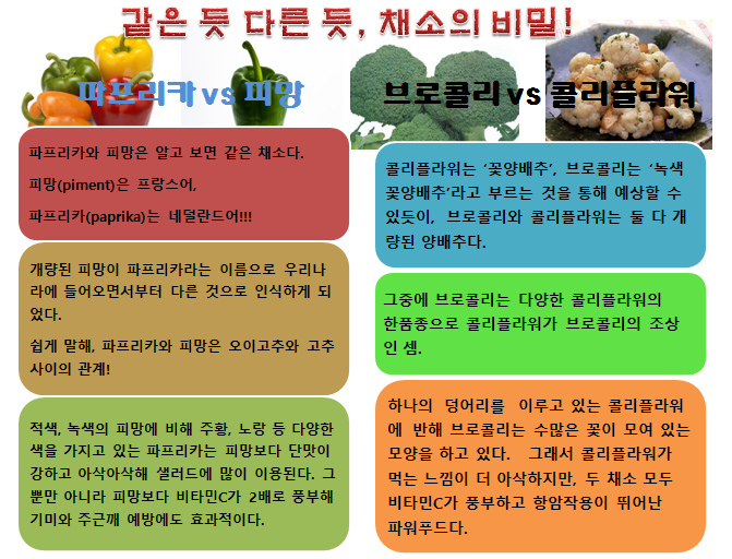 채소의 비밀.PNG